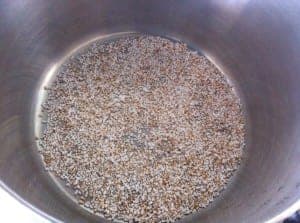 Foto 16-10-14 14 20 19 (Small)
