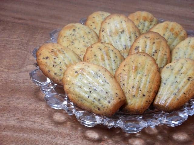 madeleines (Small)
