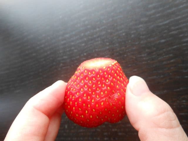 2014-05-29 16.01.38 (Small)