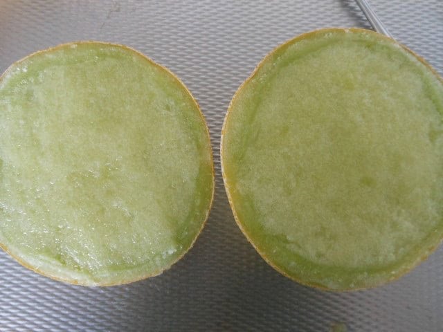 Meloen granita