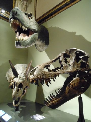 Het Natuurhistorisch Museum Wenen