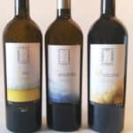 Fino, Manzanilla & Moscatel Sherry