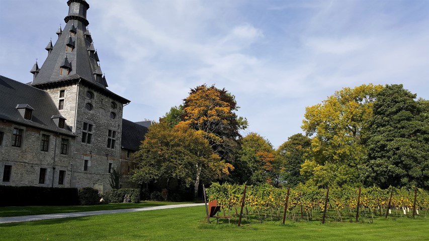 3 Tips voor een Citytrip Namen in Wallonië - Chateau de Bioul