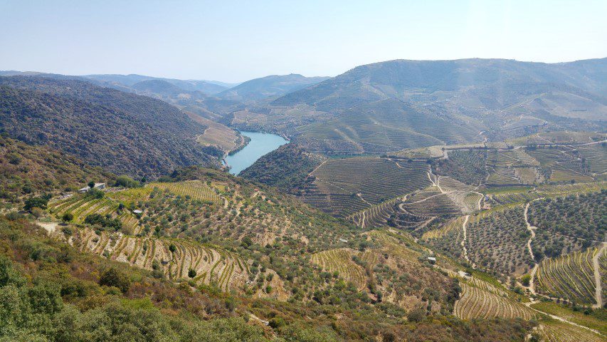 Quevedo Port - Douro Valley vineyards