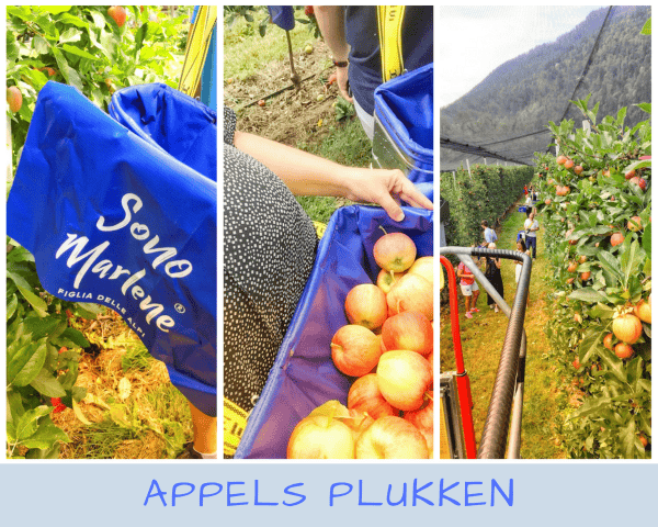 Marlene appels plukken