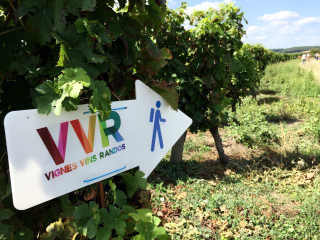 Vignes Vins Randos: wijnwandelen in de Loire