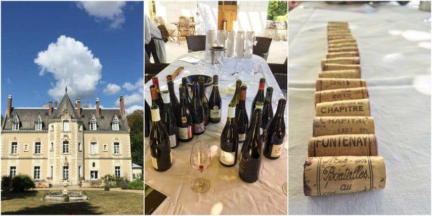Wijnen in de Loire - Touraine