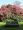 Mijn tips voor een rondje Loch Lomond, Loch Fyne en Isle of Bute - Mount Stuart
