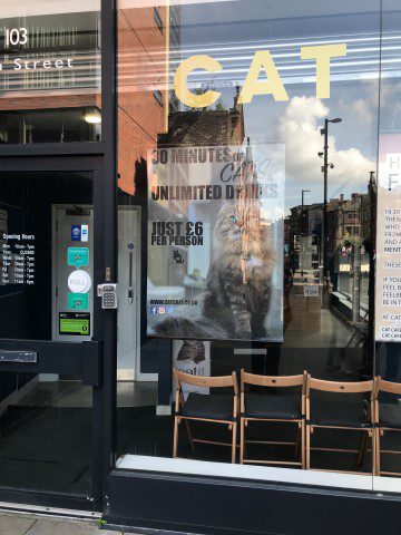 Cat Cafe Manchester