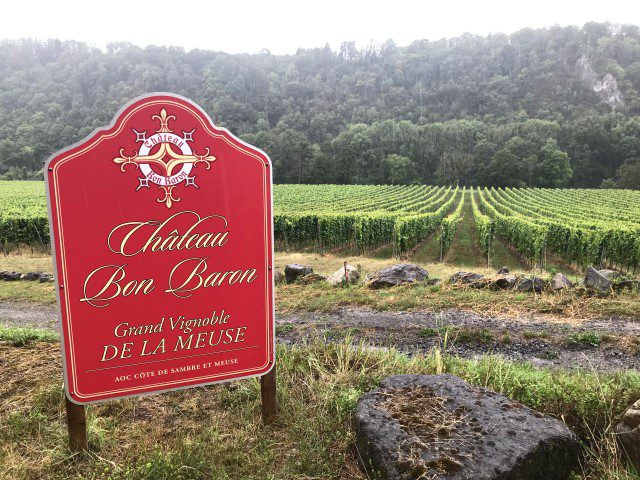Wijngaard in België - Château Bon Baron