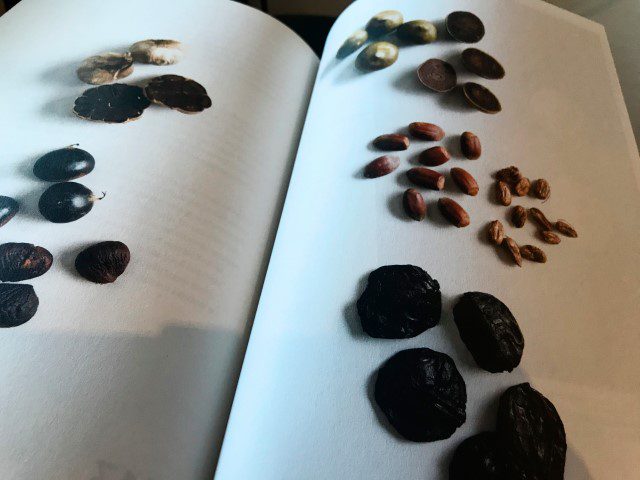 Review: Noma's handboek voor fermenteren