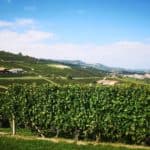 Barolo en Barbaresco - De parels van Piemonte