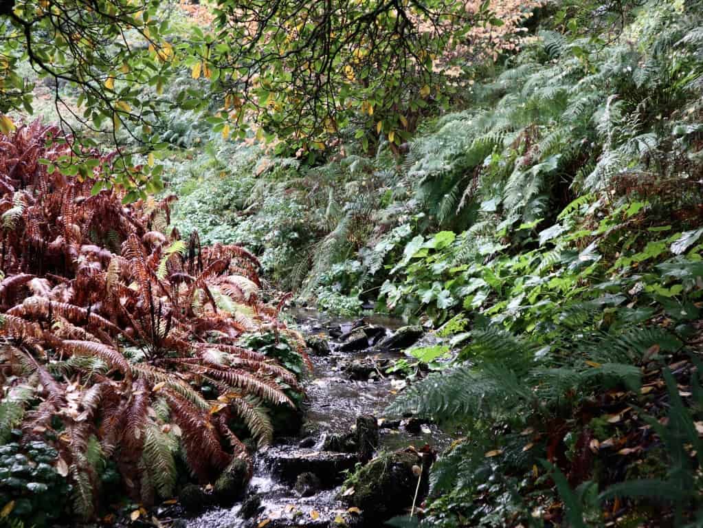 Dawyck Botanic Garden - tips voor Dumfries, Galloway en the Scottish Borders