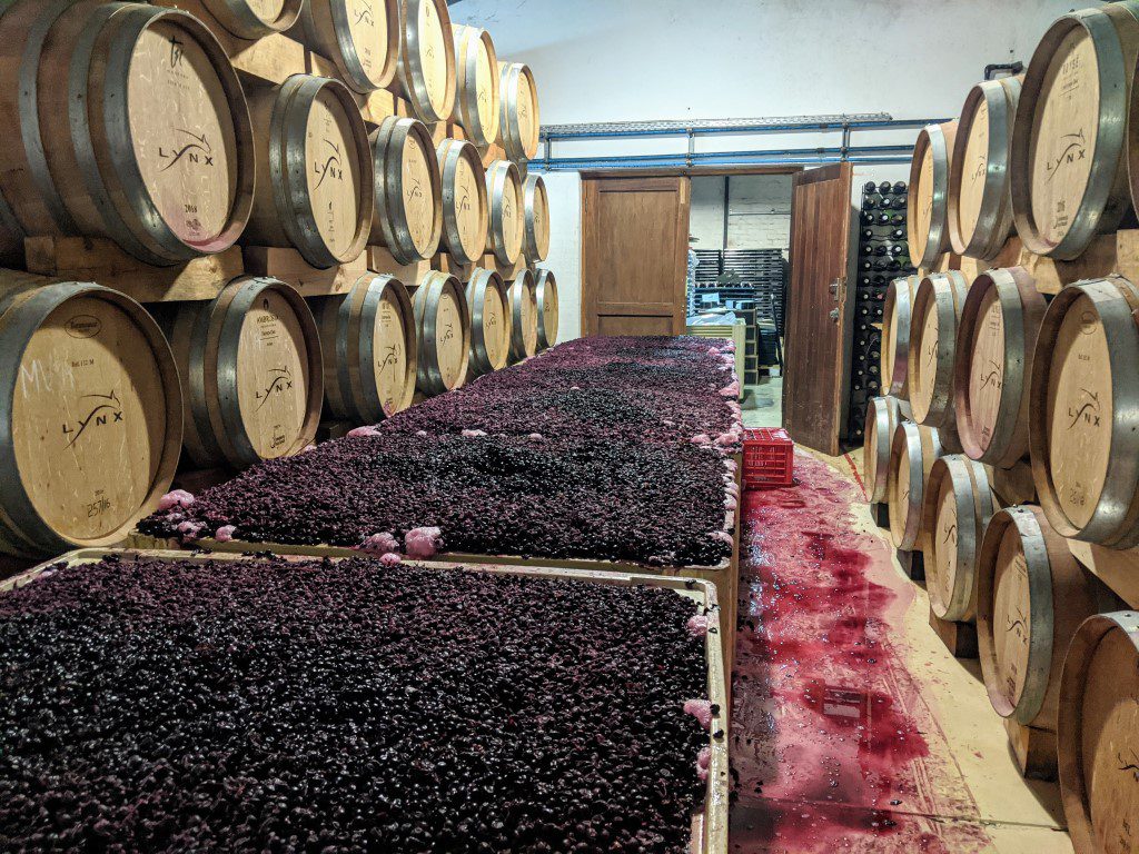 Lynx Estate Winery - Franschhoek Zuid-Afrika