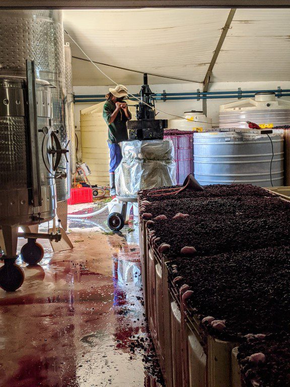 Lynx Estate Winery - Franschhoek Zuid-Afrika