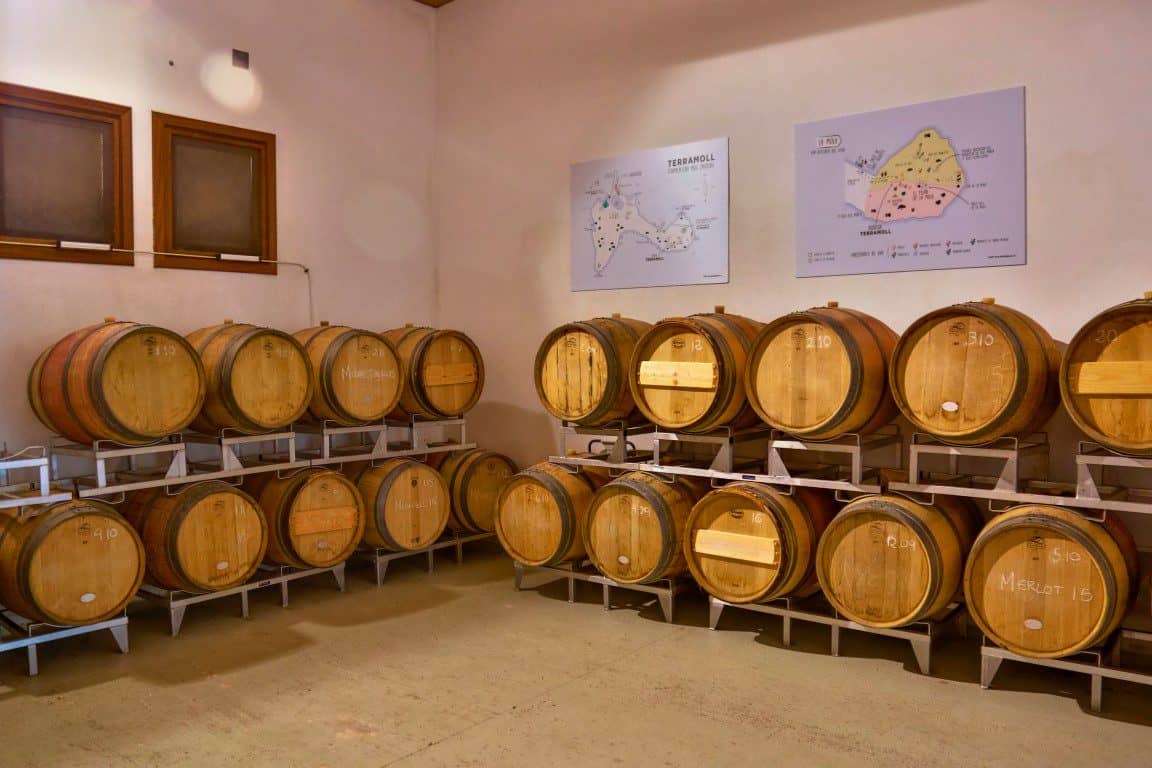 Bodega Terramoll - wijnhuis op Formentera, Spanje
