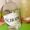 Schodu Gin Tom Collins