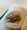 Review: Flavour - Yotam Ottolenghi en Ixta Belfragea