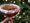 Espresso Martini - Bols Coffee Liqueur en Bols Vodka