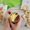 warme appelcider