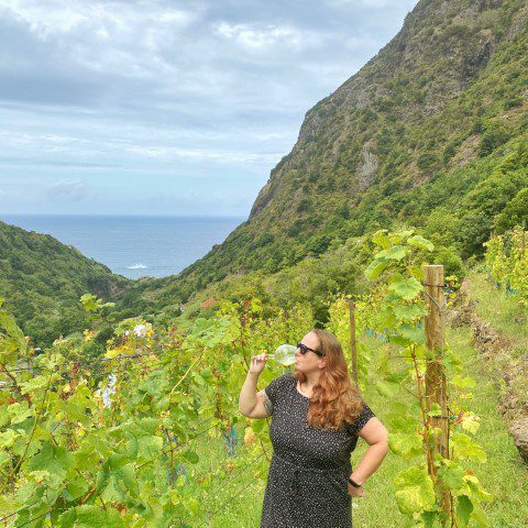 Terra Bona winery Madeira