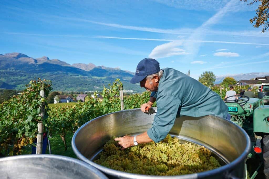 Wandelen en Wijn in Liechtenstein