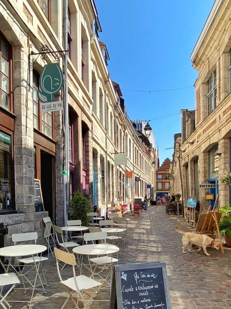 Bierstad Lille - Op ontdekkingstocht naar het Franse gerstenat van Rijsel 