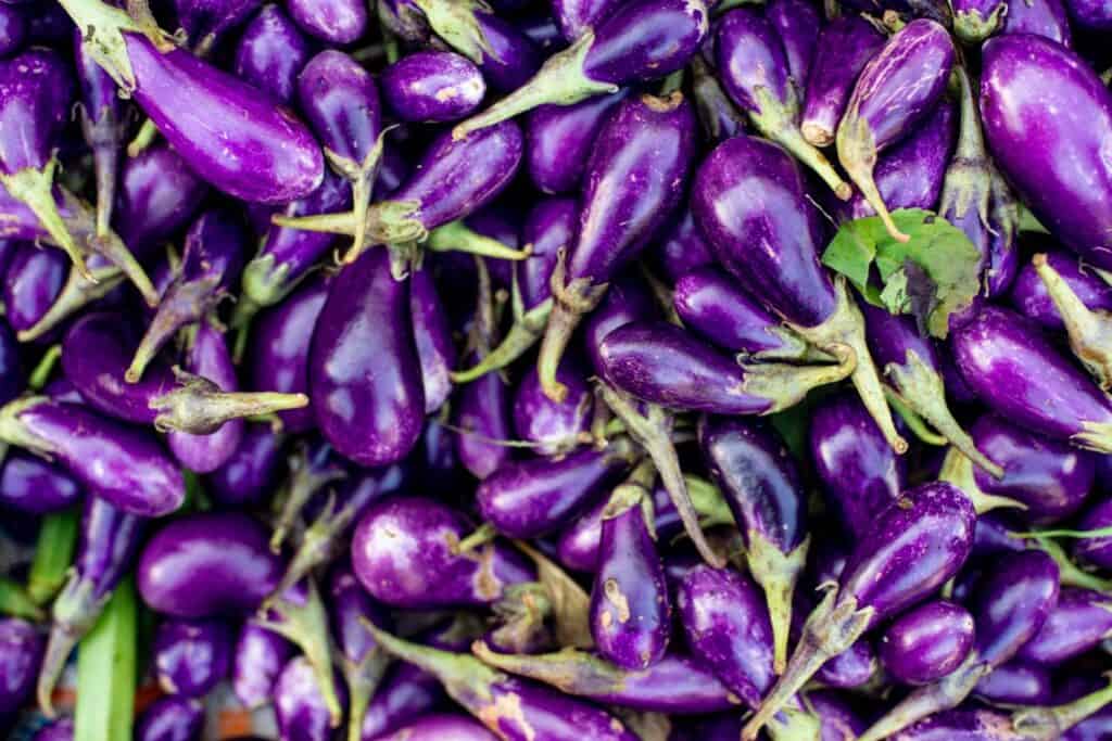 10 leuke weetjes over aubergine
