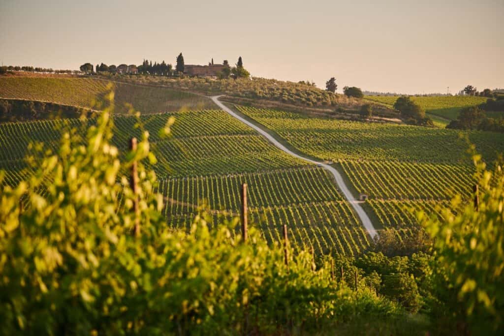 Wijnproeverijen en tips voor wijnboeren in Toscane 