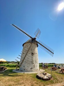 Vignobles Mourat - Moulin Blanc