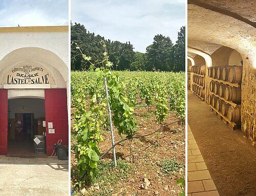 Vakantie Puglia: dé bestemming voor een wijnvakantie