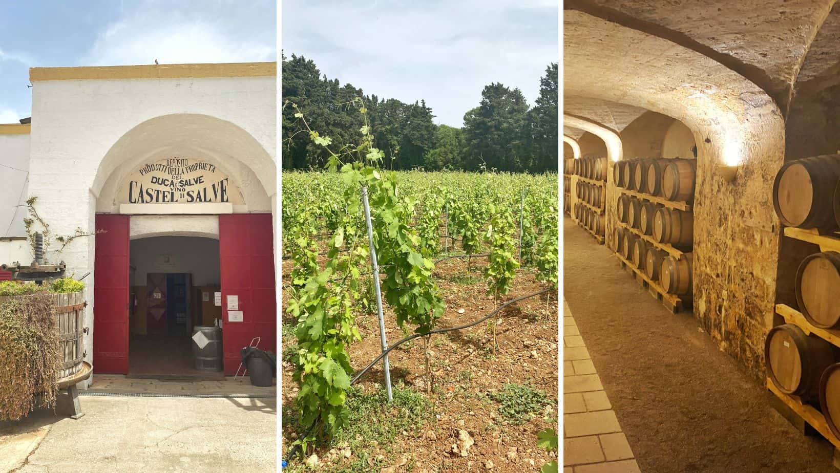 Vakantie Puglia dé bestemming voor een wijnvakantie